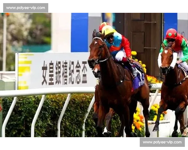 嘉应高升短途扬威 剑指巅峰赛千万奖金