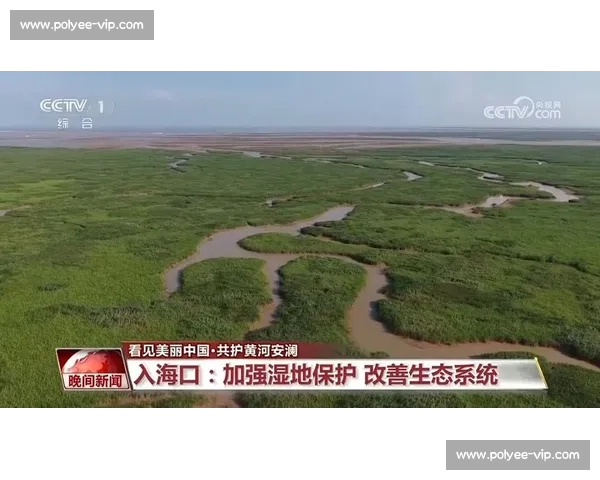 三角洲生态系统的演变与保护策略研究：面临的挑战与应对措施