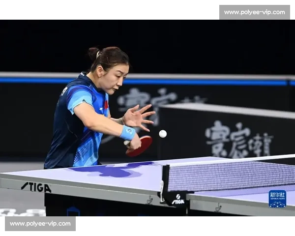 2023年WTT全球乒乓球巡回赛精彩回顾与未来展望