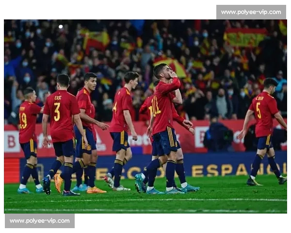 欧洲杯前瞻:西班牙队名单,谁将成为球队的奇兵 欧洲杯前瞻:西班牙队名单,谁将成为球队的奇兵