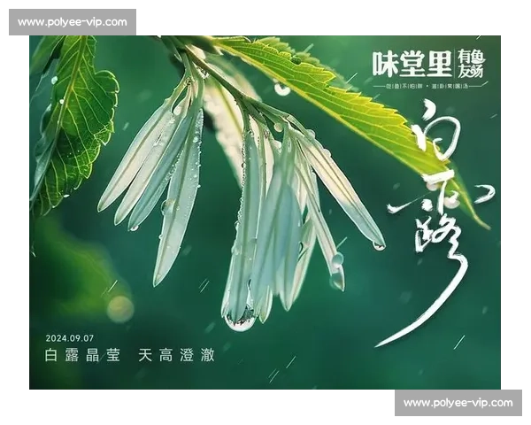 白露时节万物凝珠秋意渐浓描绘自然与人文交织的诗意画卷